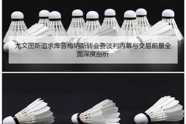 尤文图斯追求库普梅纳斯转会费谈判内幕与交易前景全面深度剖析（kaiyun）